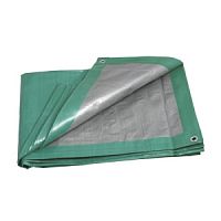 Тент  2 x 3м (120г/кв.м.) зеленый/серебро